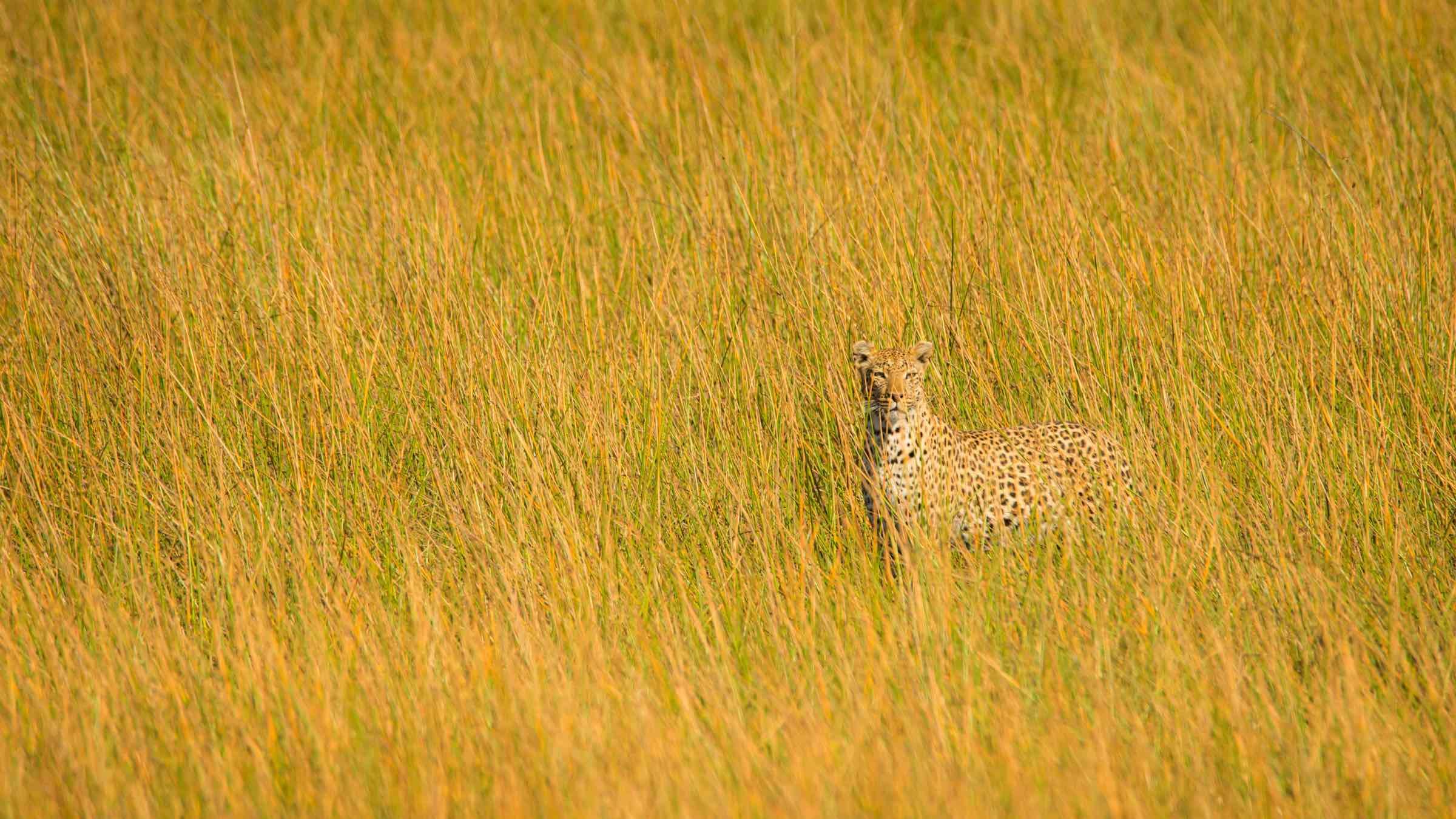 Force Your Selfishness and Jealousy Out of Hiding