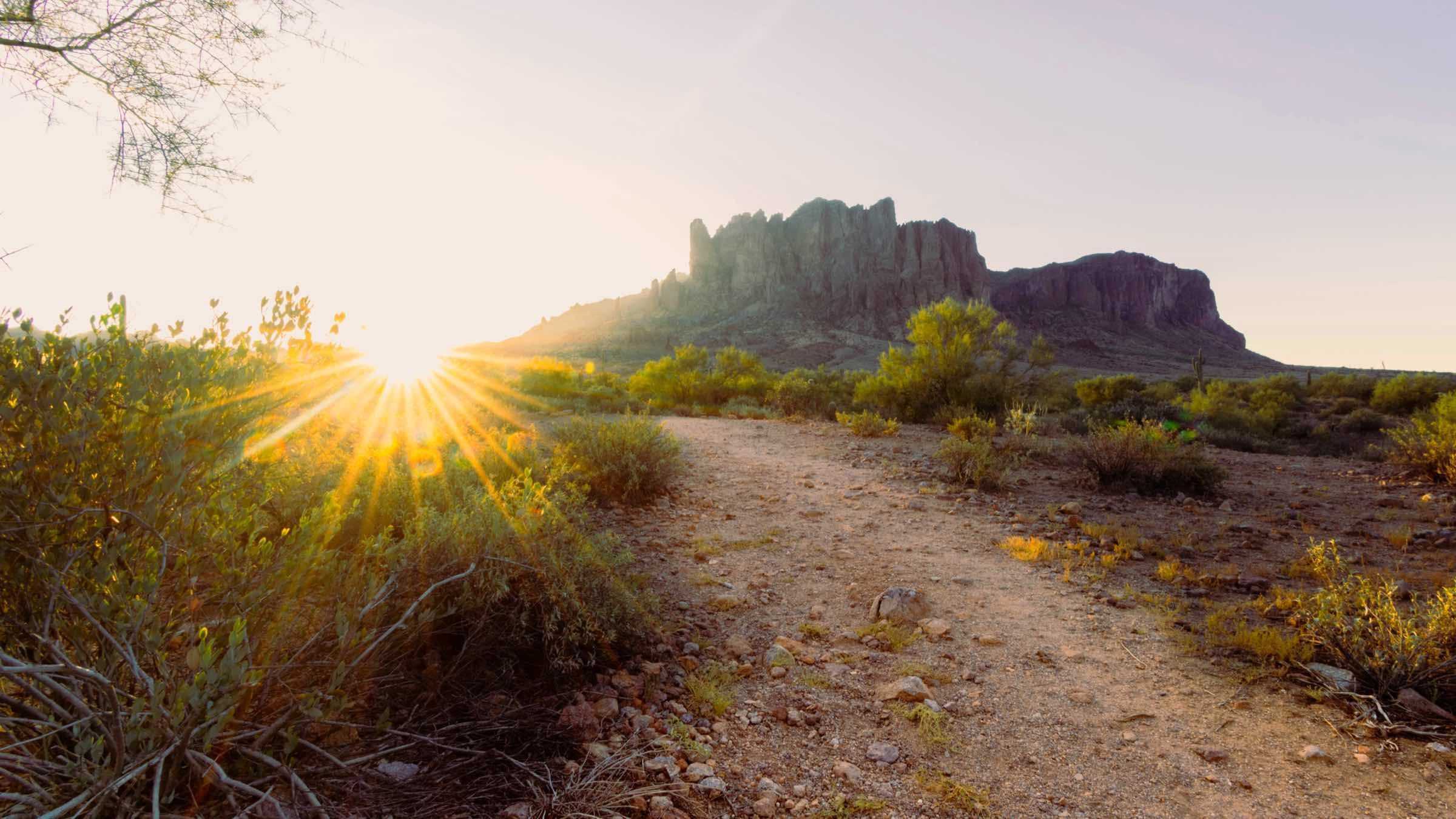 The Secret Path to Perfect Self-Knowledge