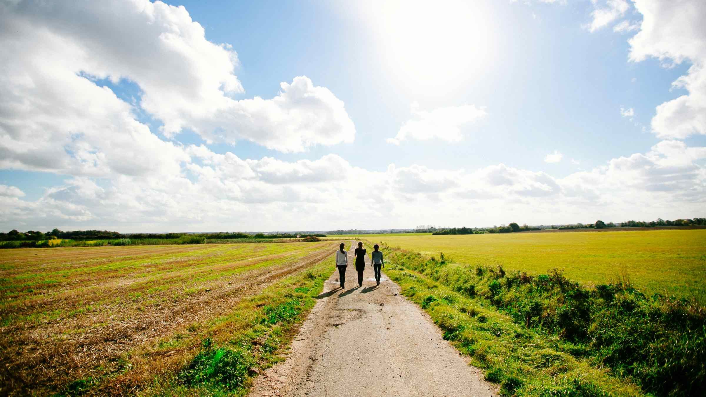 Three Insights that Guarantee YOU Have a Successful Life
