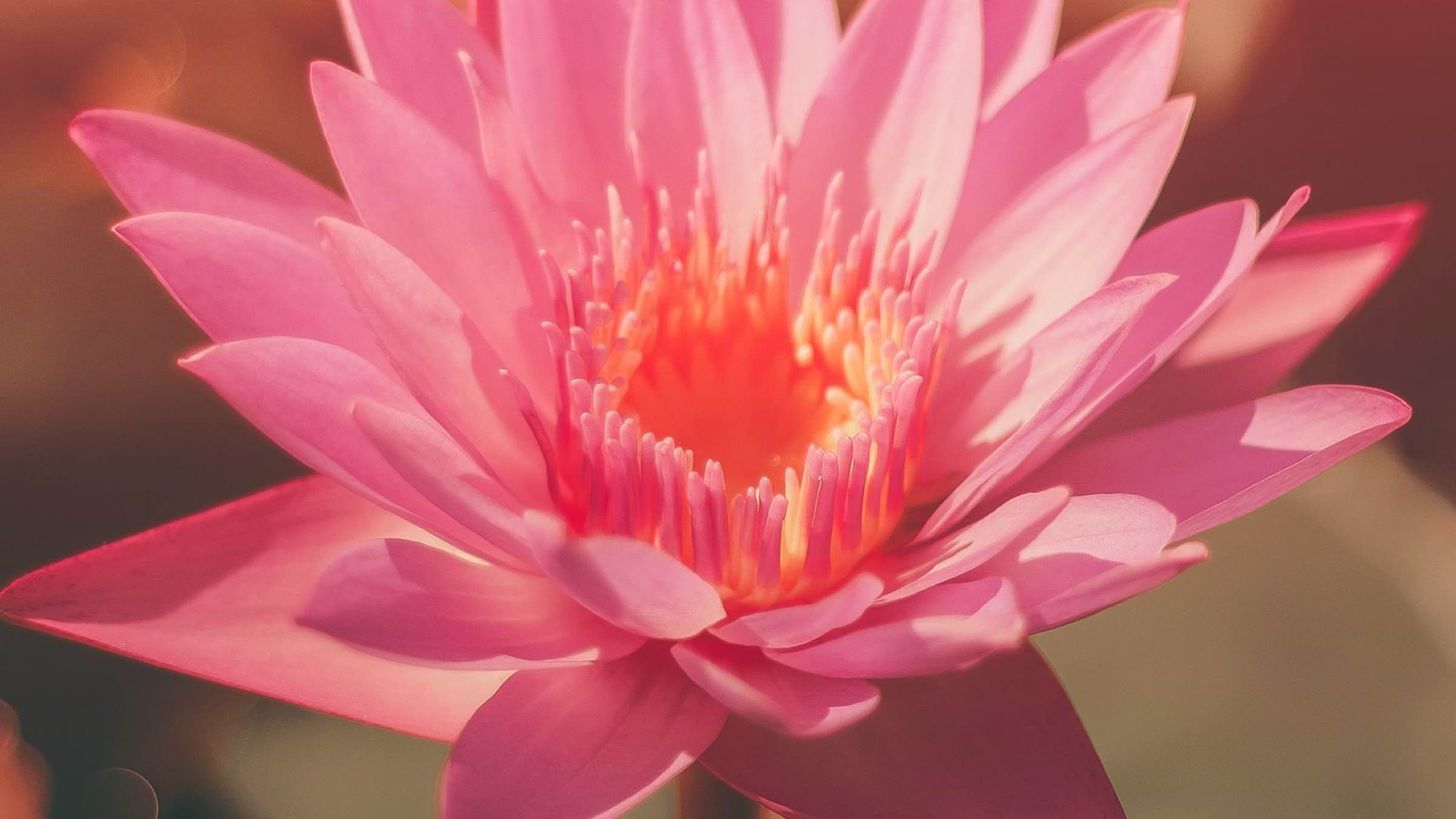 Find the Perfect Center of Life Within You