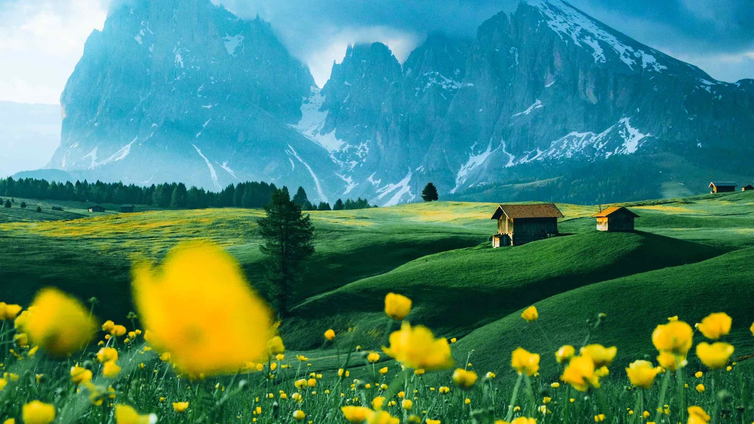 Let Self-Revelation Guide You to the Expansive Life