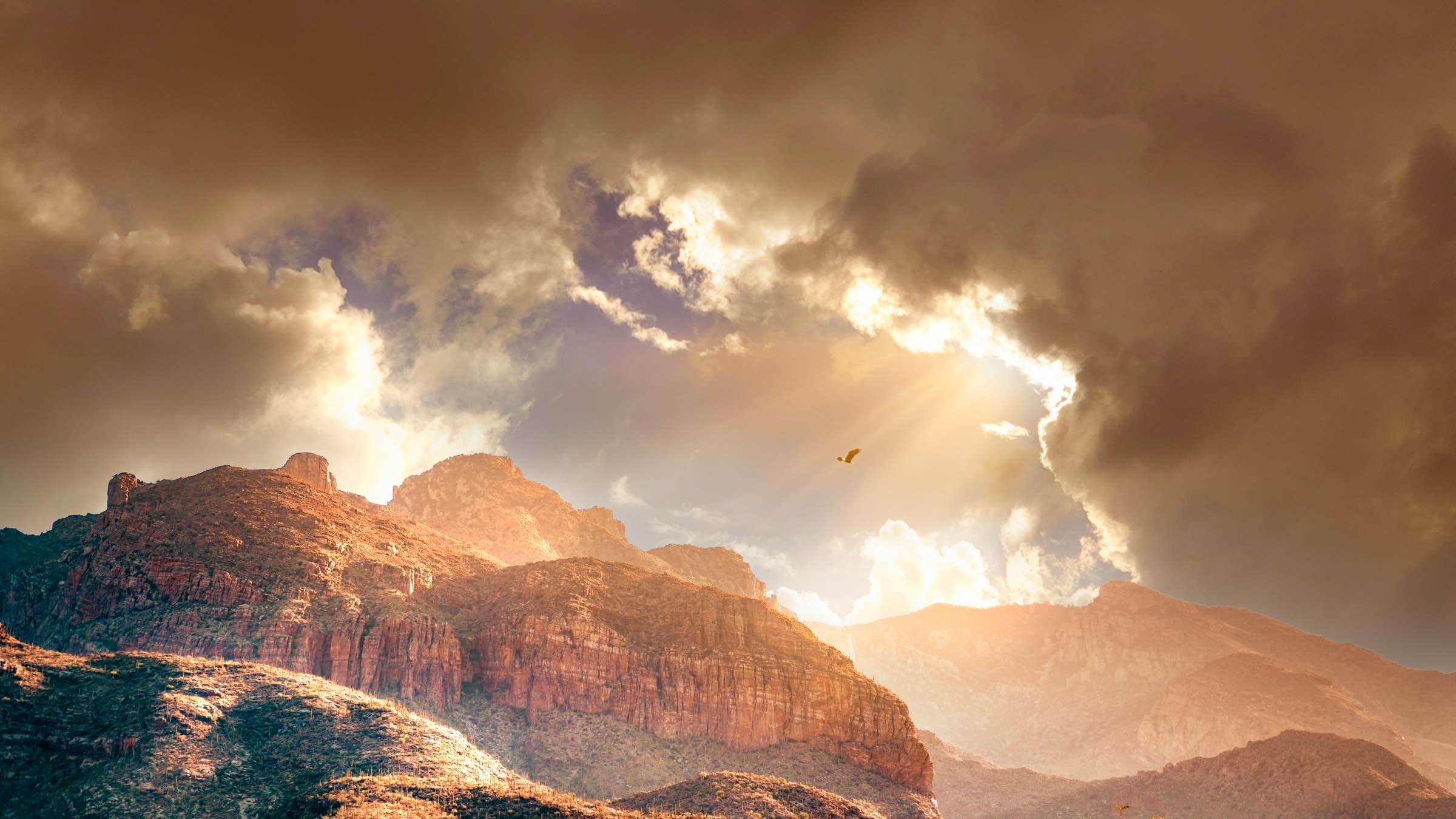 Release Yourself from Painful Reactions with a Single Realization