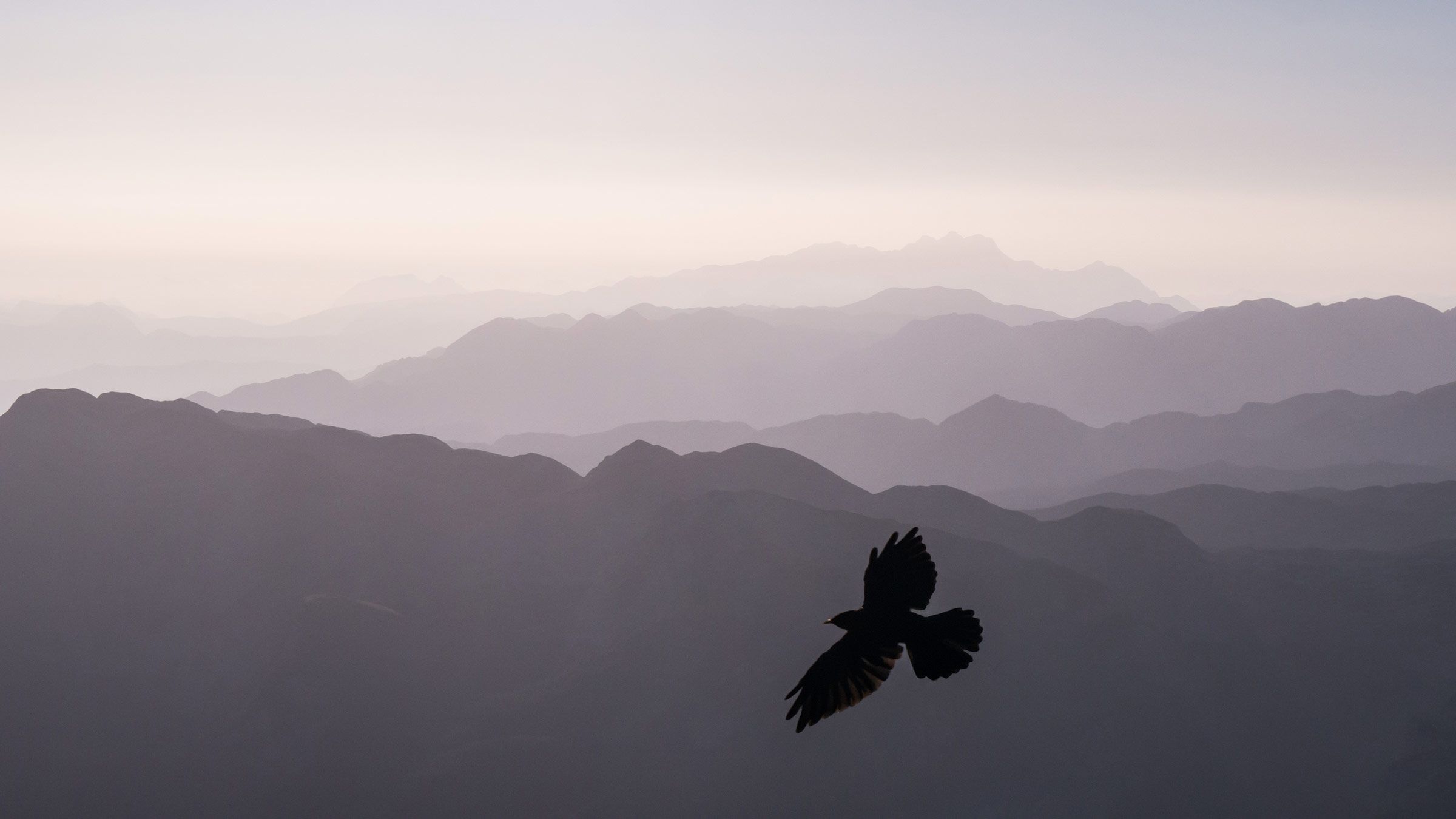 Release Yourself From This Painful Illusion and Watch Resentment Disappear