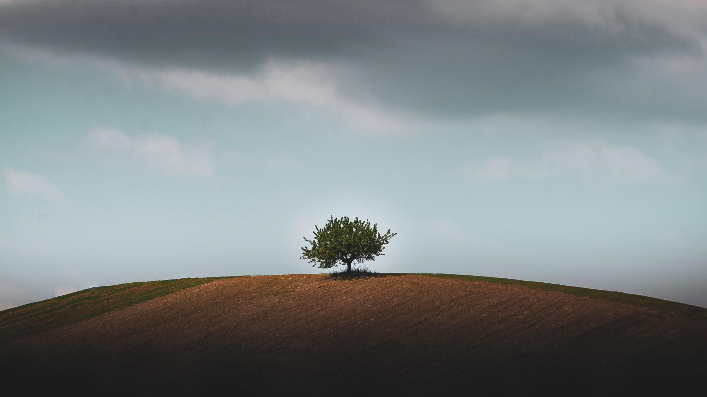 The Sure Way to Release Yourself from Negative States