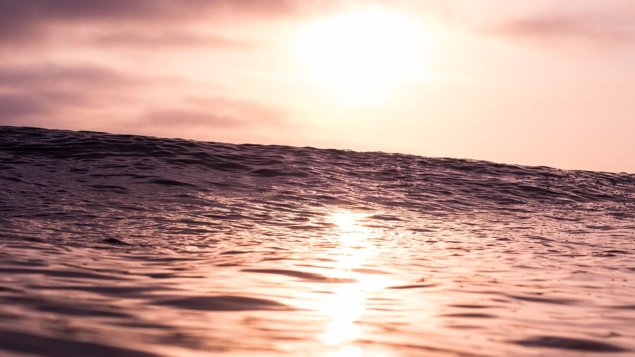 Learning to Ride the Waves of Consciousness