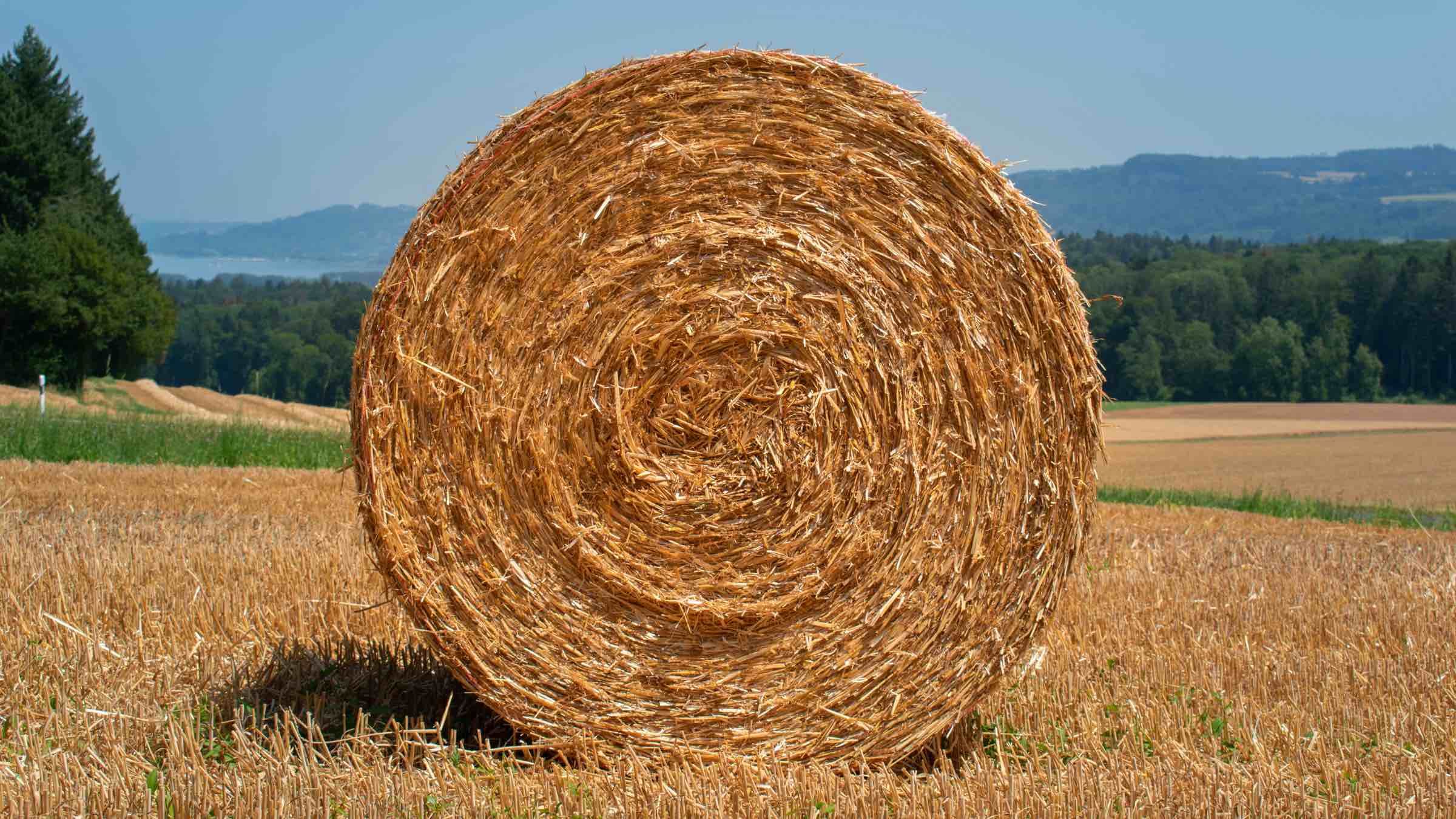 Turning Straw into Spiritual Gold