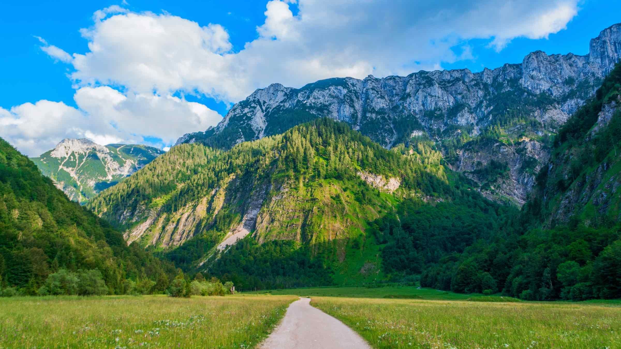 Choose the Path that Leads to Revelation