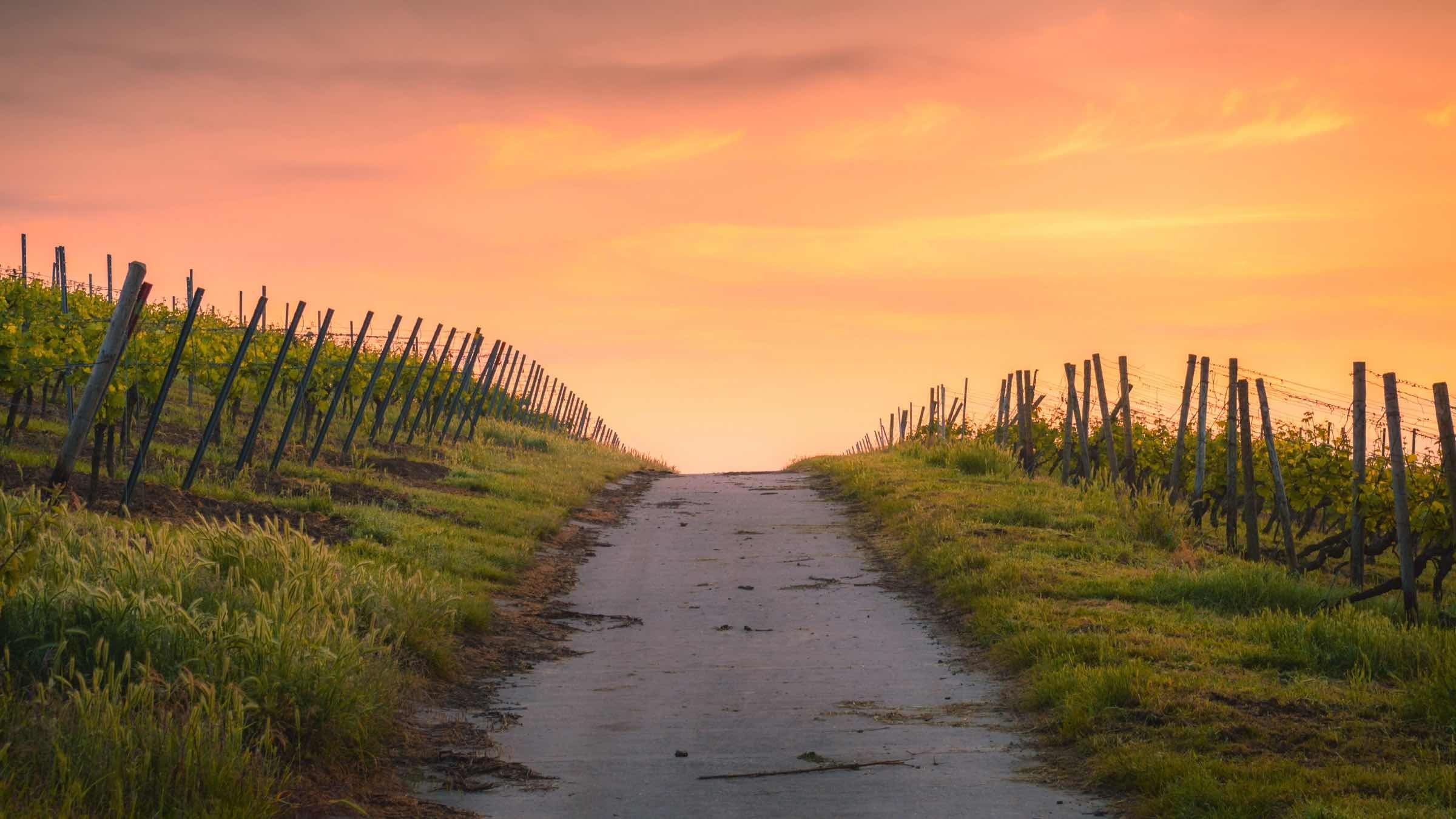 A Higher Lesson in Letting Go and Letting God