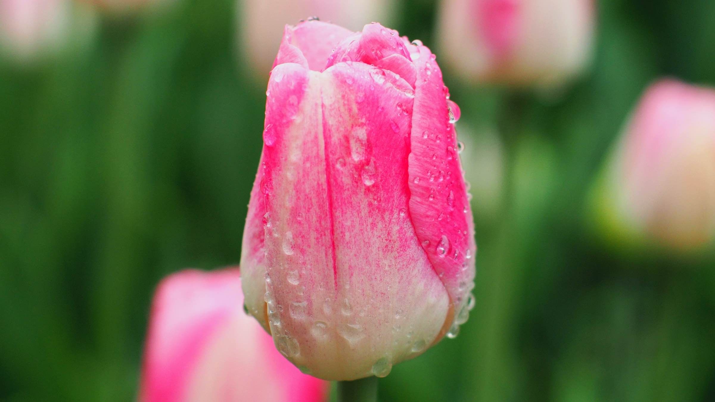 Reclaiming Your Right to Make a Fresh Start in Life