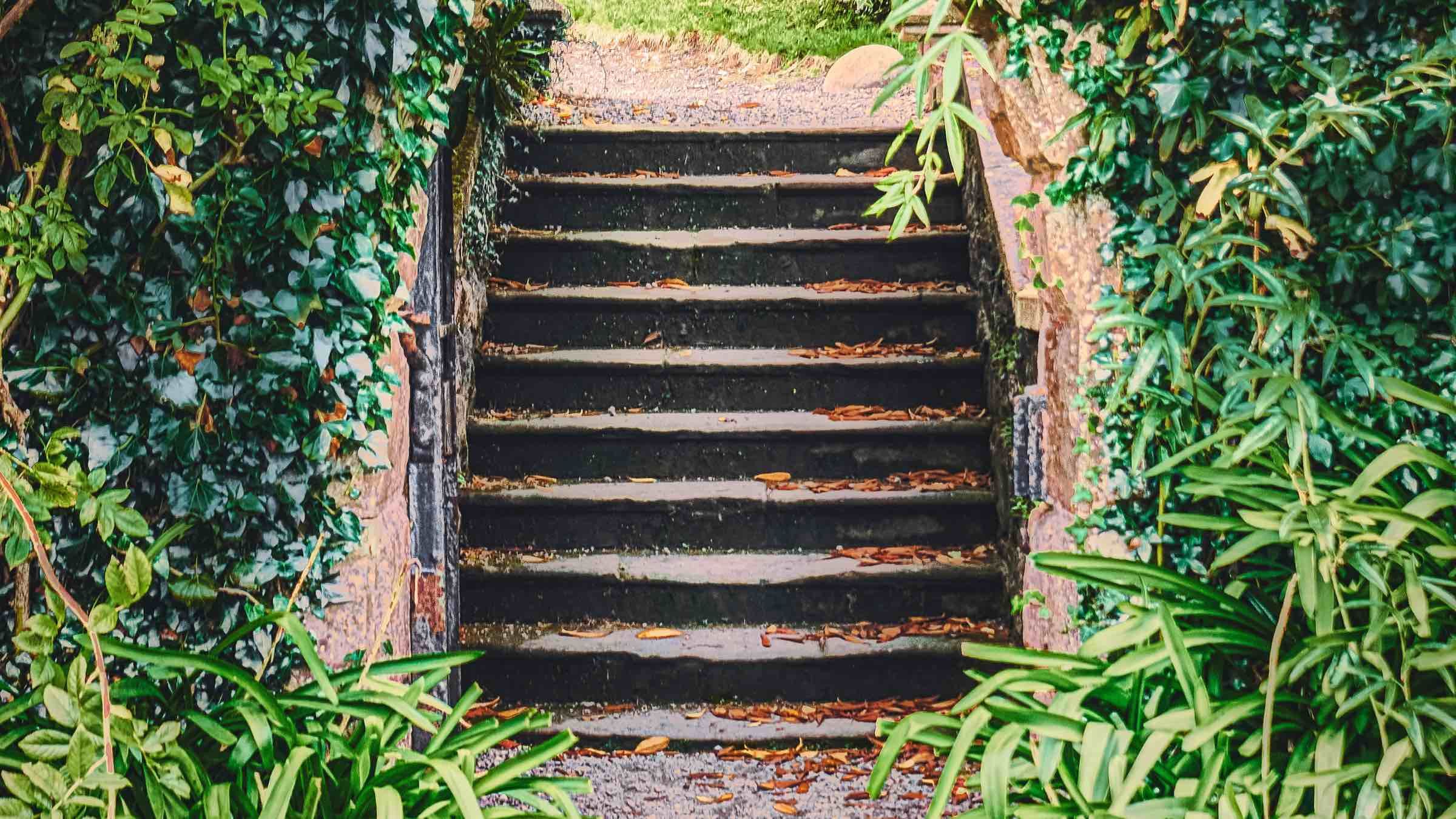 Take the First Step in Freeing Yourself from Painful Stress and Tension