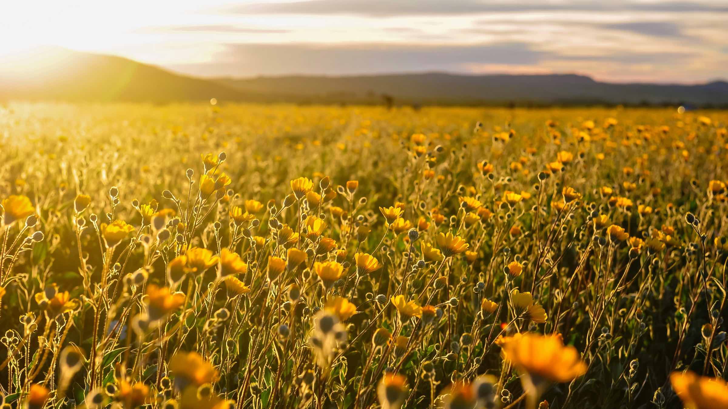 The Awakening of True Self Begins with Asking Yourself These Three Questions