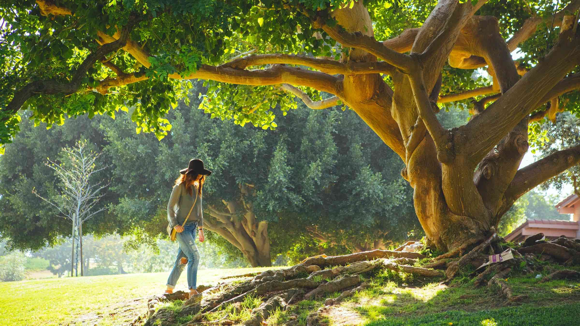 Strike at the Root of Negativity