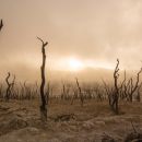 Exposed: The Evolution of Evil: Your Right to Live in the Light