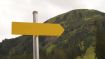 Crossroads and Other Signposts Along the Way to Self-Awakening