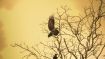 The Unimaginable Truth that Frees You from Unwanted Moments
