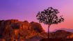 What Is True Reconciliation?