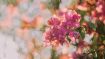 Transform Any Sense of Loss into a Self-Liberating Realization