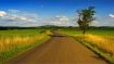 Take the First Step on the Road to Worry-Free Living