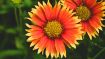 How Your Desire for Approval Keeps You Imprisoned