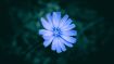 The Innate Need for Greatness