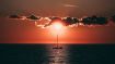 Insights into Awakening the 