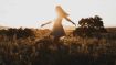 The Power to Dismiss All Dark and Painful Moments From Your Life
