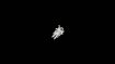 The First Stage of Separation