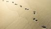 Walk Into the World of Wonder Within You