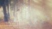 Walk Out of the Wilderness of the Illusory Self