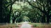 Take the Interior Path to the Fearless Life (Student Talks)