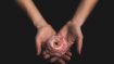 Start Here to Learn the Spiritual 'ABCs' of Self-Sacrifice (Student Talks)