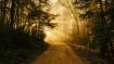 Take the Path That Leads to a Pure Heart