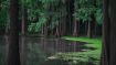 Be Still and Let the Wisdom of Silence Slow You Down (Student Talks)