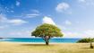 What to Do in the Heat of Any Unwanted Moment