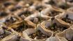 Start Sowing the Seeds of a New Life