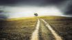 Take the Road