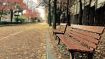 Loneliness
