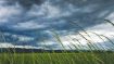 Stop Fighting Confusion and Stormy Emotions