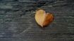 Only a First Love Can Set You Free
