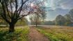 Let Go of Your Mistaken Identity