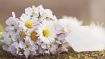 Insights & Instructions Along the Timeless Path of Self-Knowing