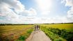 Three Insights that Guarantee YOU Have a Successful Life