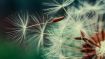 Healing Begins with the Awareness that Something is Out of Order