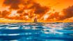 Seven Questions for Self-Wholeness