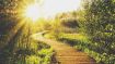 How to Let Go and Enter the Divine Flow of Life: Part 2