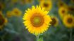A Real Time Meditation to Let Go of Old Painful Reactions