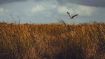 Student Q&A with Guy on 
