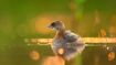 Six Eye-Opening Insights to Start True Self-Healing