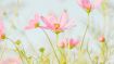 If We Want To Receive Love We Have To Give It