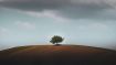The Sure Way to Release Yourself from Negative States